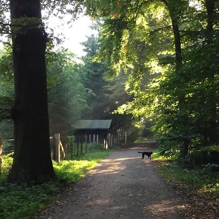 List 2 Bedroom Away From Hannover