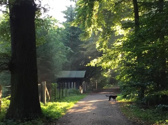 List 2 Bedroom Away From Hannover